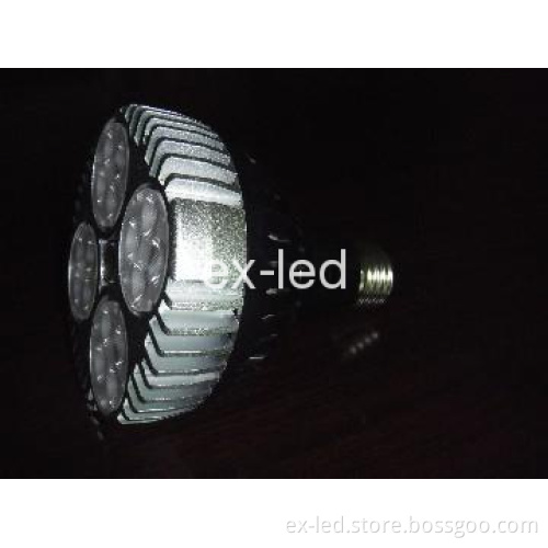 Excellent High Brightness LED E27 PAR30 40W PAR Light